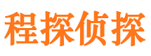 莱山侦探公司